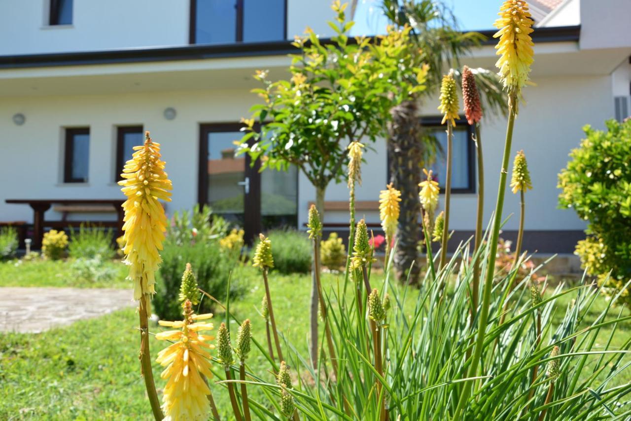 Vila Palma - App Palma & Room Figa Ankaran Exterior photo